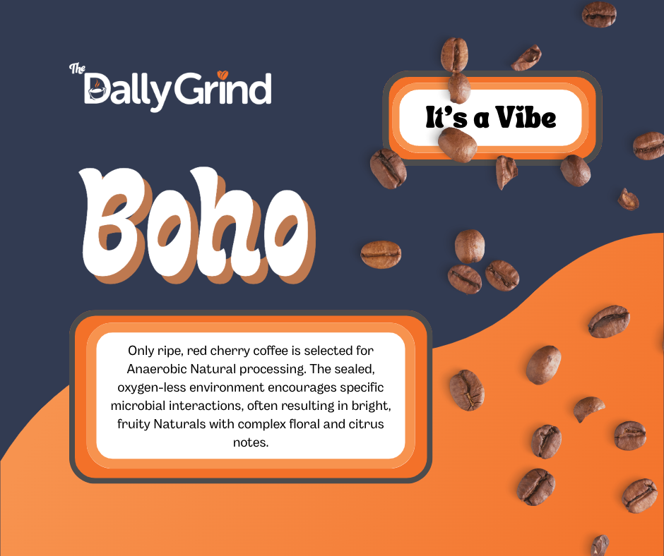Boho | Light Roast Coffee | It's a Vibe Collection
