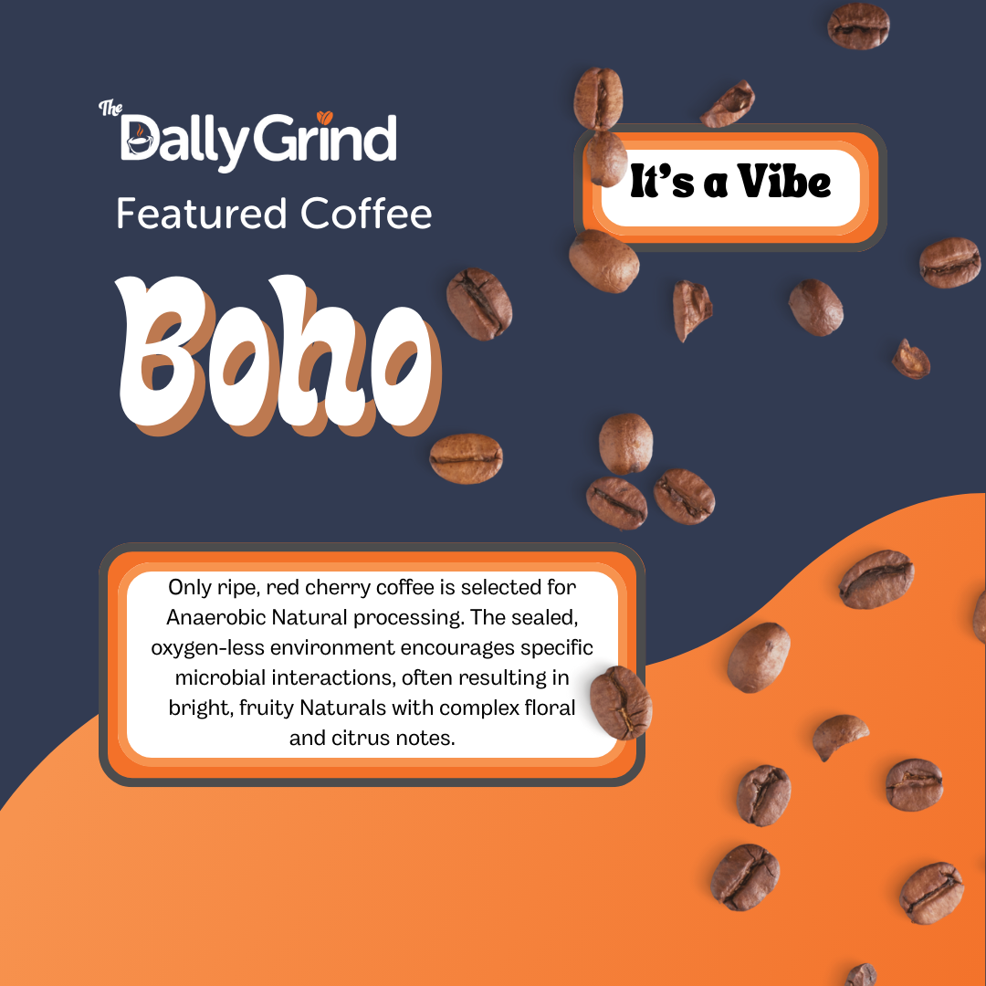 It's a Vibe Coffee Sampler - Boho (light), Boujie (medium), and Bad B(dark) Coffee Roasts